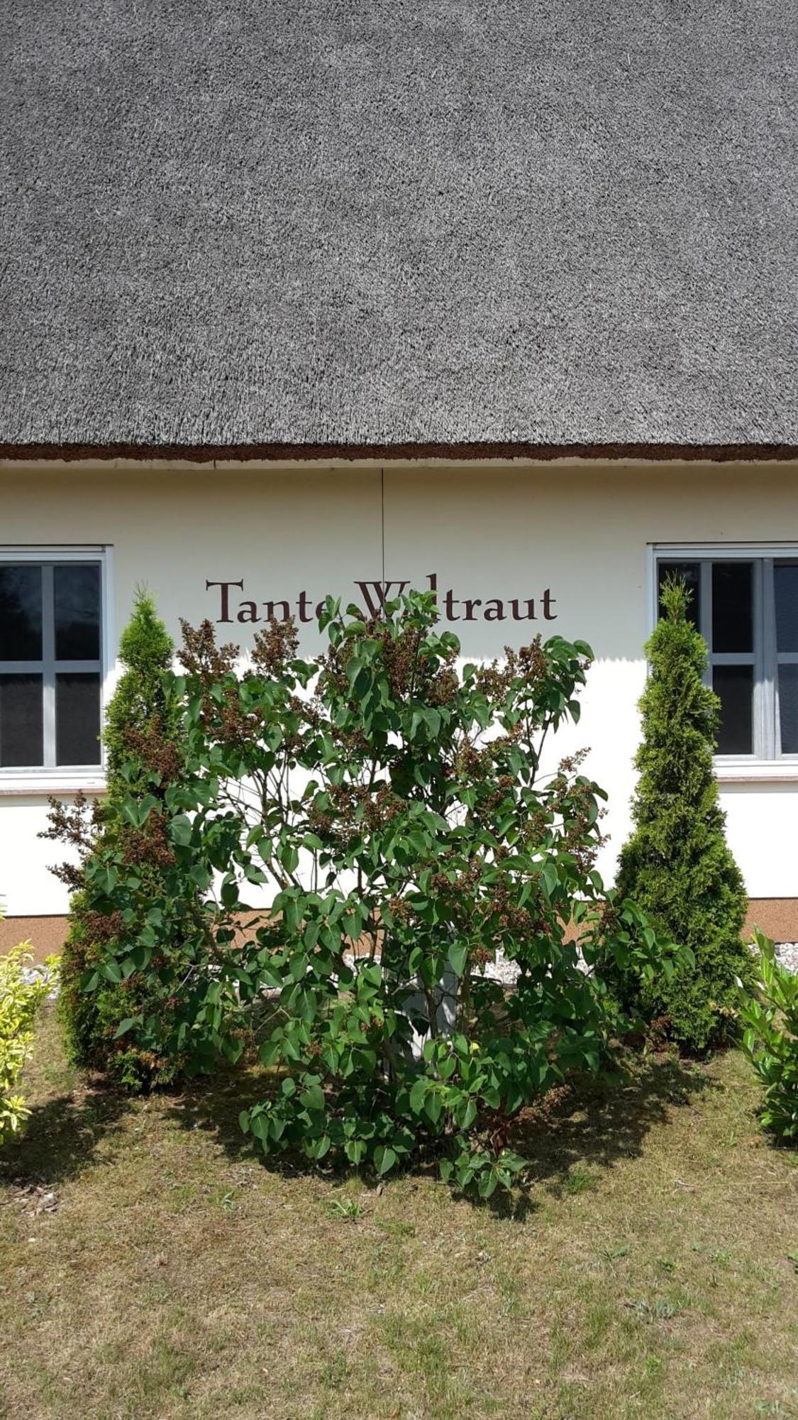 Haeuschen "Tante Waltraut" Villa Garz  ภายนอก รูปภาพ